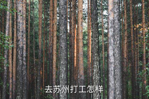去蘇州打工怎樣