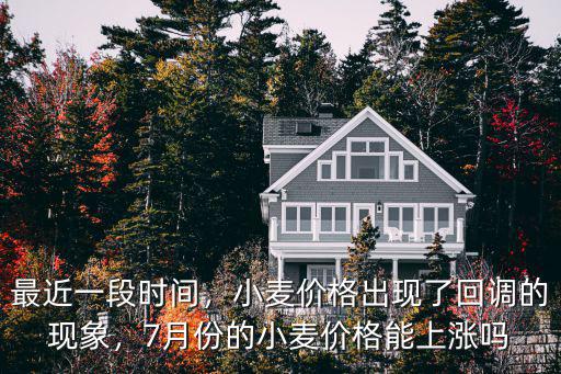 最近一段時間，小麥價格出現了回調的現象，7月份的小麥價格能上漲嗎