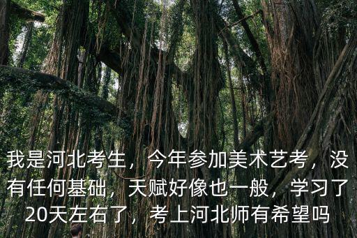 我是河北考生，今年參加美術(shù)藝考，沒有任何基礎(chǔ)，天賦好像也一般，學(xué)習(xí)了20天左右了，考上河北師有希望嗎