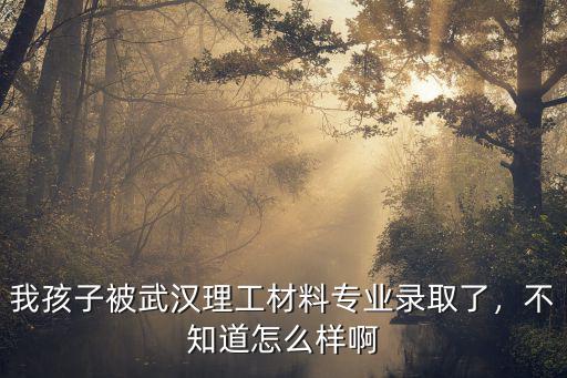 我孩子被武漢理工材料專(zhuān)業(yè)錄取了，不知道怎么樣啊