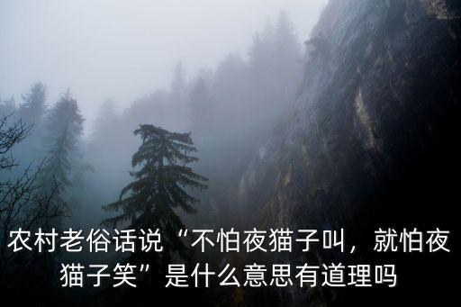 農村老俗話說“不怕夜貓子叫，就怕夜貓子笑”是什么意思有道理嗎