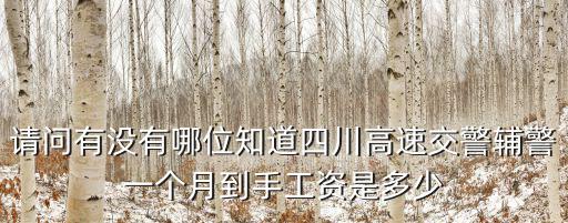 安慶鋪警工資是多少,所在城市輔警月薪多少