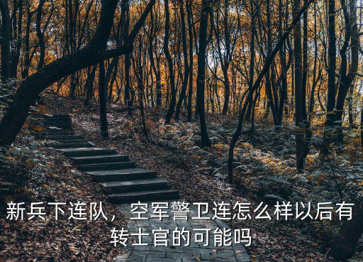 新兵下連隊(duì)，空軍警衛(wèi)連怎么樣以后有轉(zhuǎn)士官的可能嗎