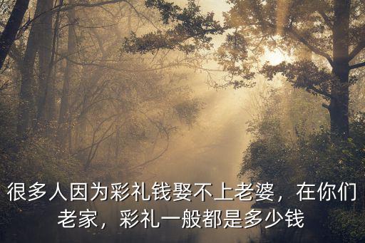衡水固城縣彩禮一般多少錢,彩禮一般都是多少錢