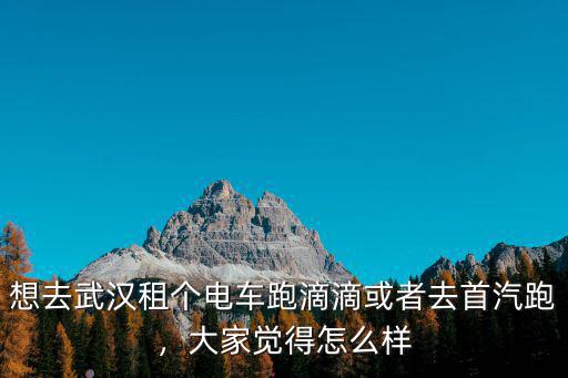 想去武漢租個電車跑滴滴或者去首汽跑，大家覺得怎么樣