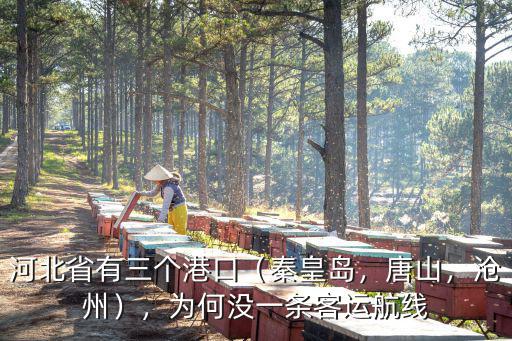 唐山港有多少港口口,我國能?？亢侥傅母劭谟卸嗌?/></a></span><span id=