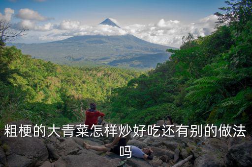 粗梗的大青菜怎樣炒好吃還有別的做法嗎