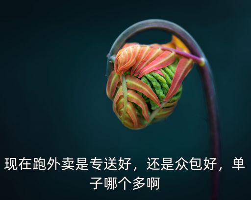 成都哪里跑外賣(mài)單子多,在成都跑外賣(mài)好做嗎