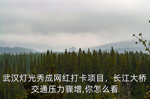 武漢燈光秀是怎么弄的,武漢上演長(zhǎng)江燈光秀