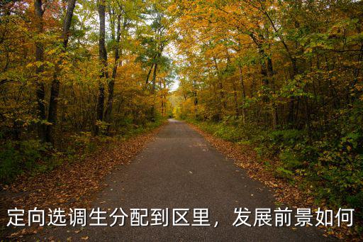 恩施市第二批選調生怎么分配,選調生怎么定崗分配