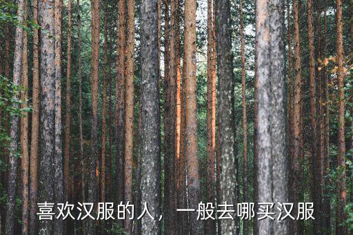 宜賓哪里有賣漢服的,喜歡漢服的人