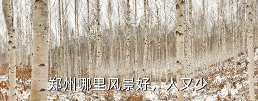 鄭州會展哪里好,鄭州哪里風景好