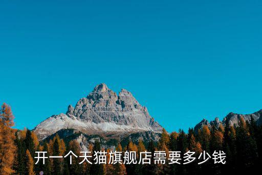 開一個(gè)天貓旗艦店需要多少錢