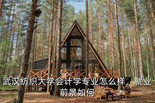 武漢財會專業行業怎么樣,會計專業錄取