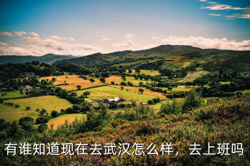 武漢熱風店上班怎么樣,在武漢打工生活怎么樣