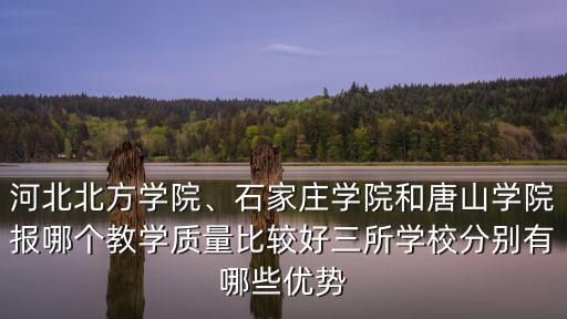 石家莊學院學前教育多少分,石家莊學院怎么樣