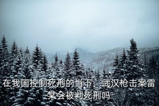在我國控制死刑的當下，武漢槍擊案雷某會被判死刑嗎