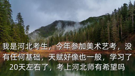 河北藝考美術類考生有多少人,我是河北考生