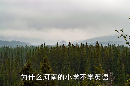 為什么河南的小學不學英語