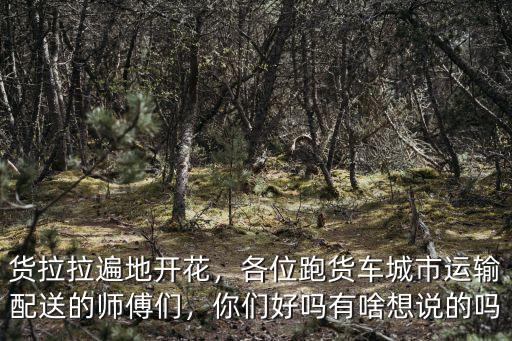 貨拉拉遍地開花，各位跑貨車城市運輸配送的師傅們，你們好嗎有啥想說的嗎