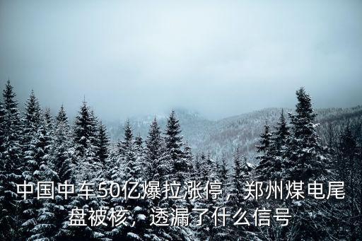 鄭州煤電后續(xù)怎么走,股市會(huì)怎么走