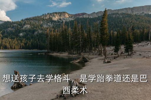 想送孩子去學(xué)格斗，是學(xué)跆拳道還是巴西柔術(shù)