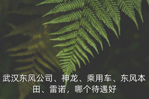 武漢東風公司、神龍、乘用車、東風本田、雷諾，哪個待遇好
