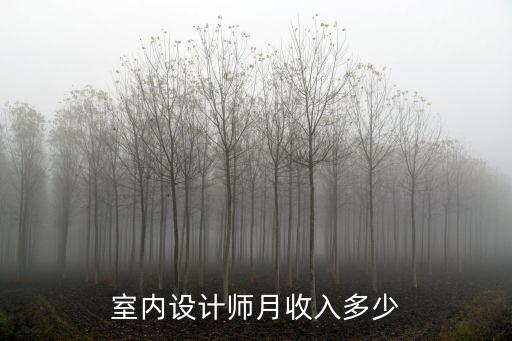 室內(nèi)設(shè)計(jì)師月收入多少