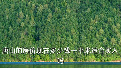 唐山的房價現在多少錢一平米適合買入嗎