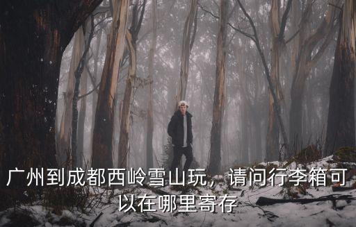 成都雪山在哪里視頻,2019成都哪里可以看雪