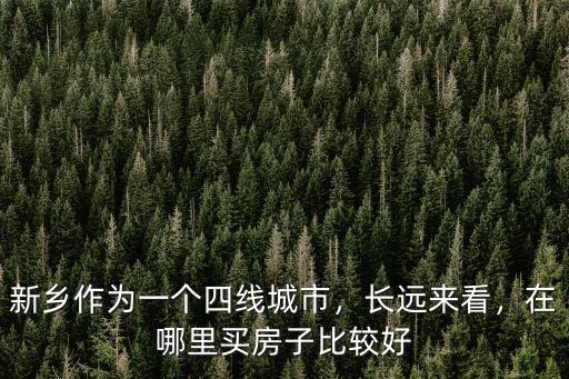 新鄉(xiāng)市靚號哪里好,新鄉(xiāng)市哪個小學(xué)好