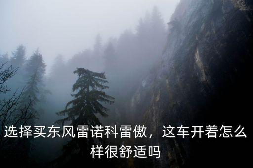 選擇買東風雷諾科雷傲，這車開著怎么樣很舒適嗎