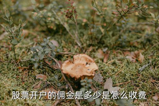 平頂山證券開戶傭金多少,股票開戶的傭金是多少