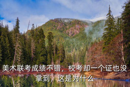 河北美術(shù)聯(lián)考220分以上有多少人,河北美術(shù)聯(lián)考249分