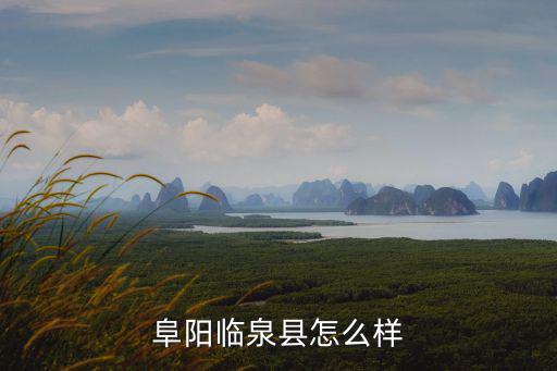 安徽省阜陽市臨泉縣包含多少鄉鎮,臨泉縣有多少鄉鎮