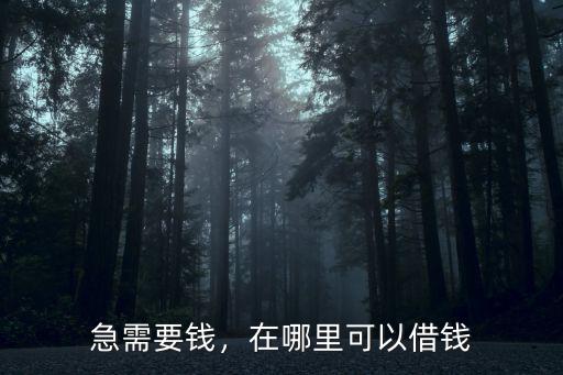德陽哪里可以借到錢,在哪里可以借錢