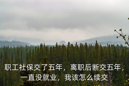 職工社保交了五年，離職后斷交五年，一直沒就業(yè)，我該怎么續(xù)交