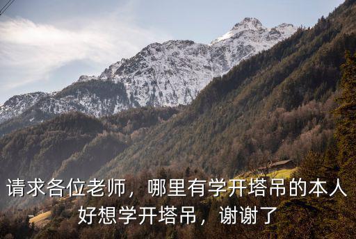 請(qǐng)求各位老師，哪里有學(xué)開(kāi)塔吊的本人好想學(xué)開(kāi)塔吊，謝謝了