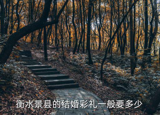 衡水景縣的結(jié)婚彩禮一般要多少