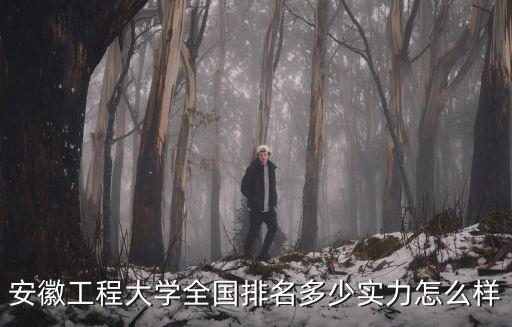 安徽合工大排名多少名,安徽工程大學全國排名多少