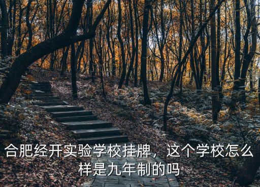 合肥經開實驗學校有多少班級,合肥經開實驗學校掛牌