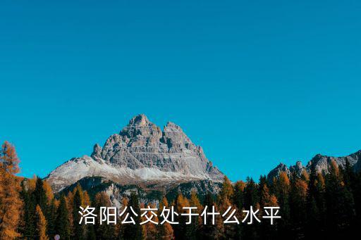 洛陽(yáng)公交車微信怎么掃碼,微信怎么刷乘車碼坐公交