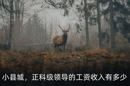 宣城市正科級干部有多少人,正科級領(lǐng)導(dǎo)的工資收入有多少