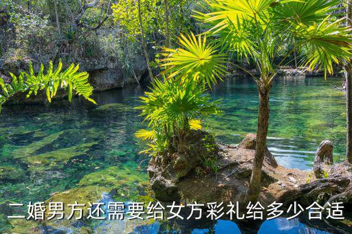 二婚男方還需要給女方彩禮給多少合適