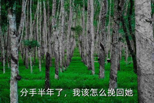 分手半年了，我該怎么挽回她