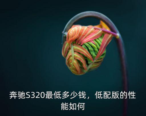 奔馳S320最低多少錢，低配版的性能如何