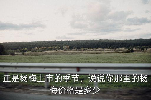 承德應季楊梅多少錢一斤,今年楊梅價格多少錢一斤