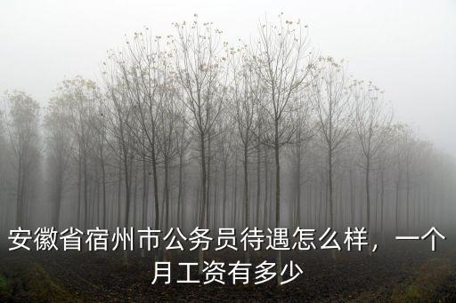 安徽省公務員工資一個月多少,一個月工資有多少