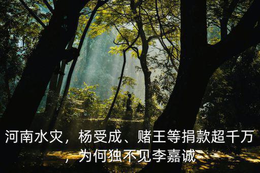 這次河南水災李嘉誠捐多少錢,這次河南水災都捐了多少