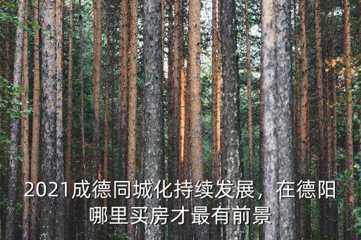 德陽東風大街在哪里,在德陽哪里買房才最有前景